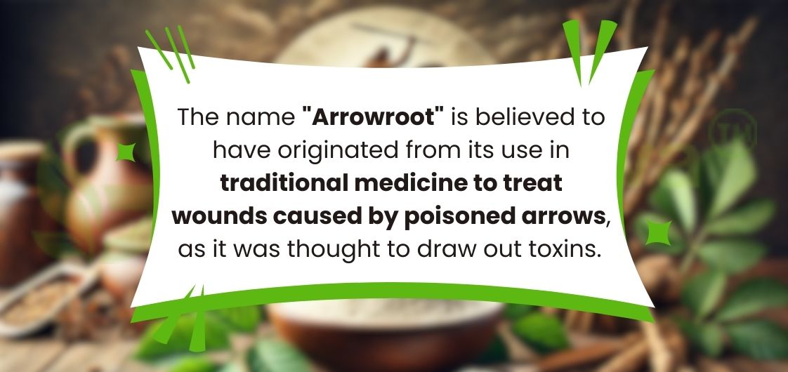 arrowroot powder bulk